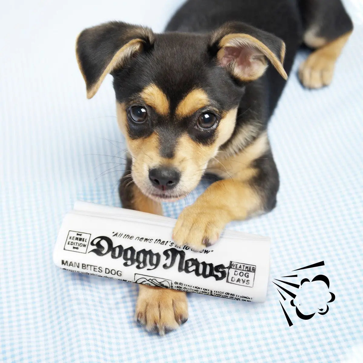 Crinkle Chew News Toy for Dogs
